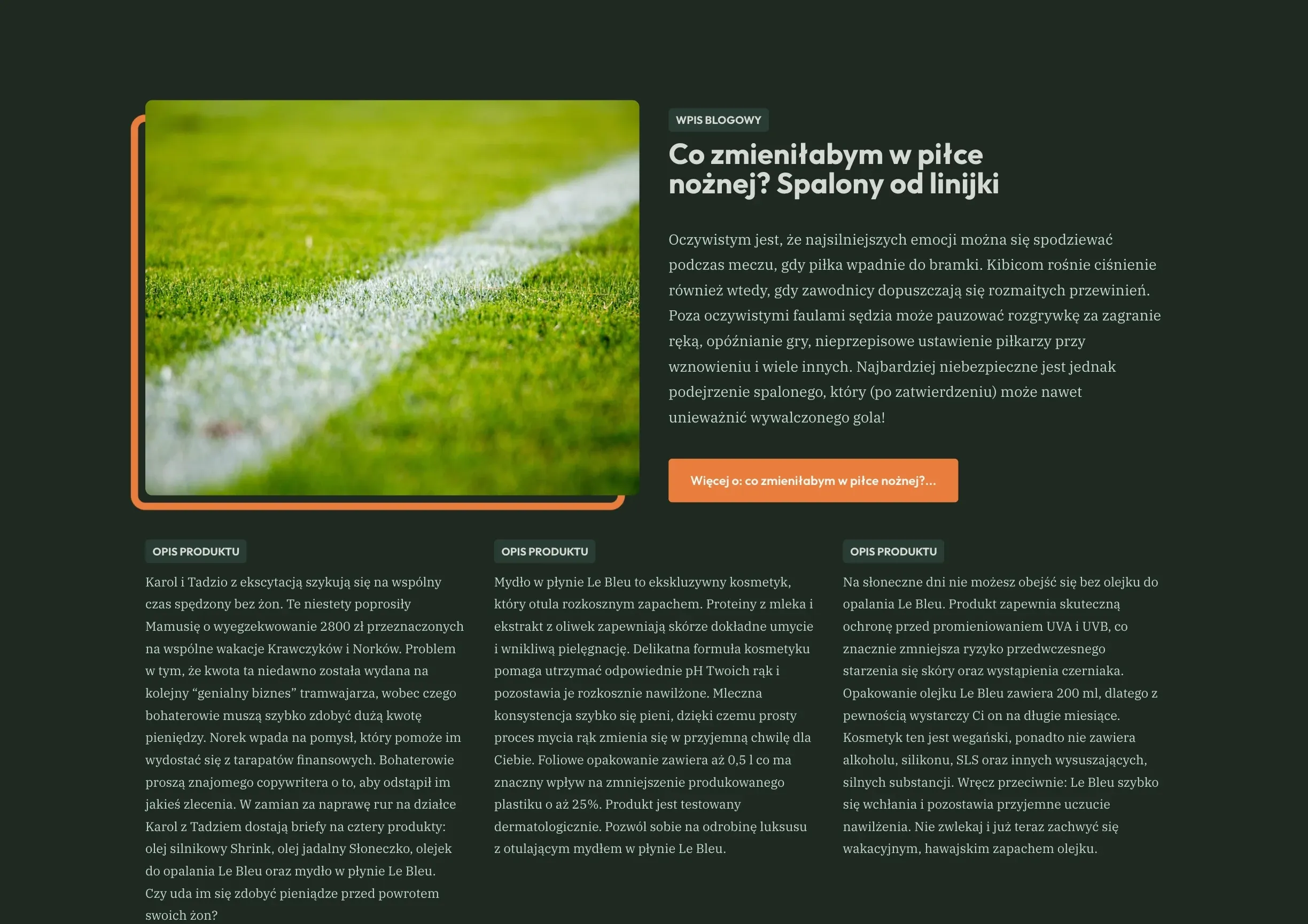 Case study image for www.ewa.cool